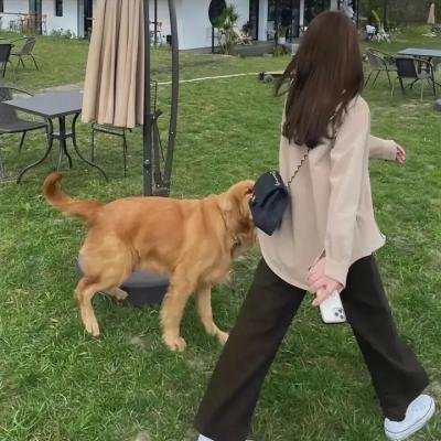爱与死